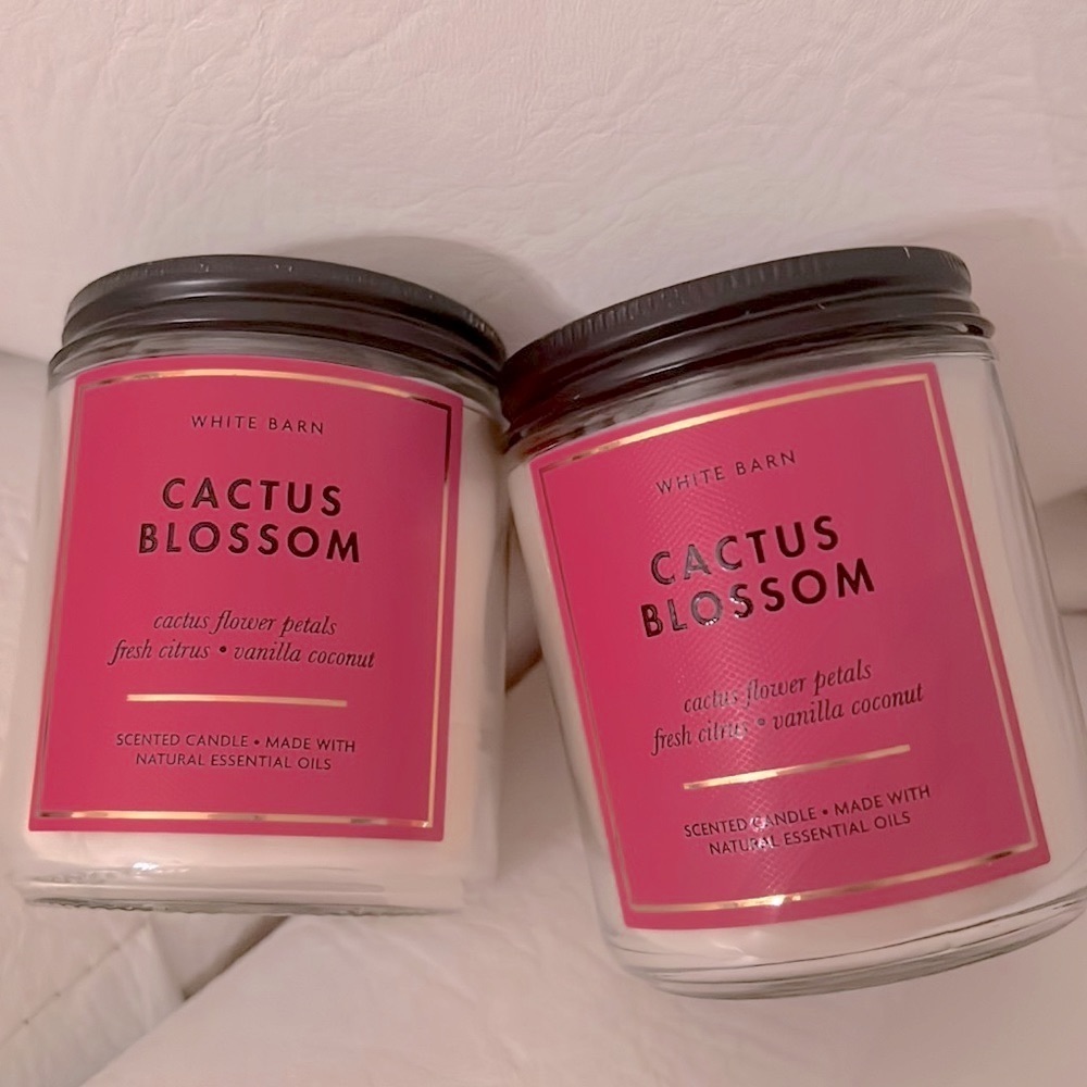Cactus Blossom Candle!